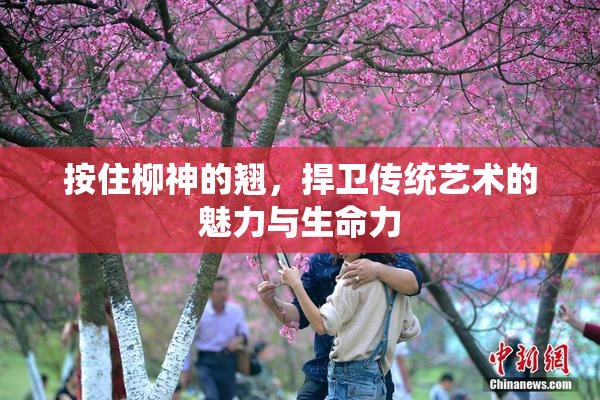 按住柳神的翘，捍卫传统艺术的魅力与生命力