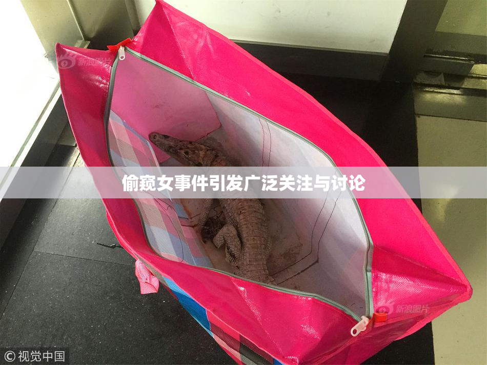 偷窥女事件引发广泛关注与讨论