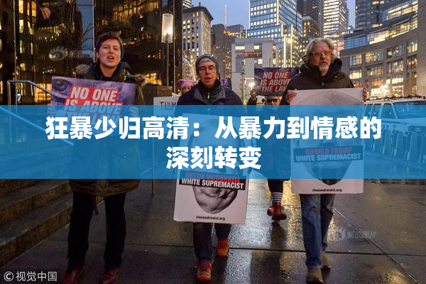 狂暴少归高清：从暴力到情感的深刻转变
