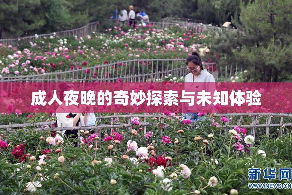 成人夜晚的奇妙探索与未知体验