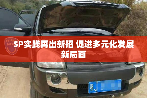 SP实践再出新招 促进多元化发展新局面
