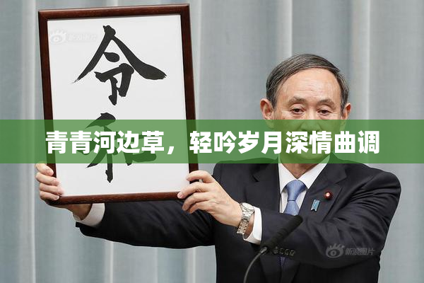 青青河边草，轻吟岁月深情曲调