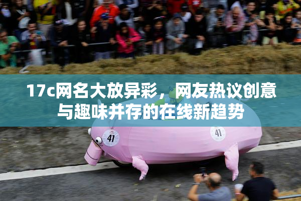 17c网名大放异彩，网友热议创意与趣味并存的在线新趋势