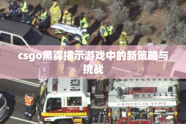 csgo黑寡揭示游戏中的新策略与挑战