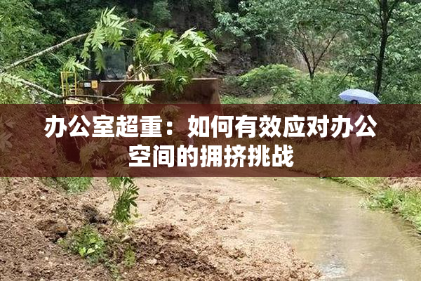 办公室超重：如何有效应对办公空间的拥挤挑战