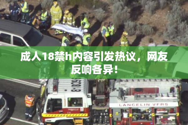 成人18禁h内容引发热议，网友反响各异！