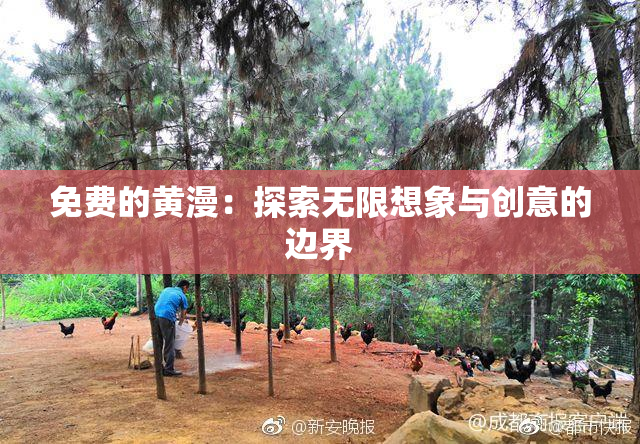 免费的黄漫：探索无限想象与创意的边界
