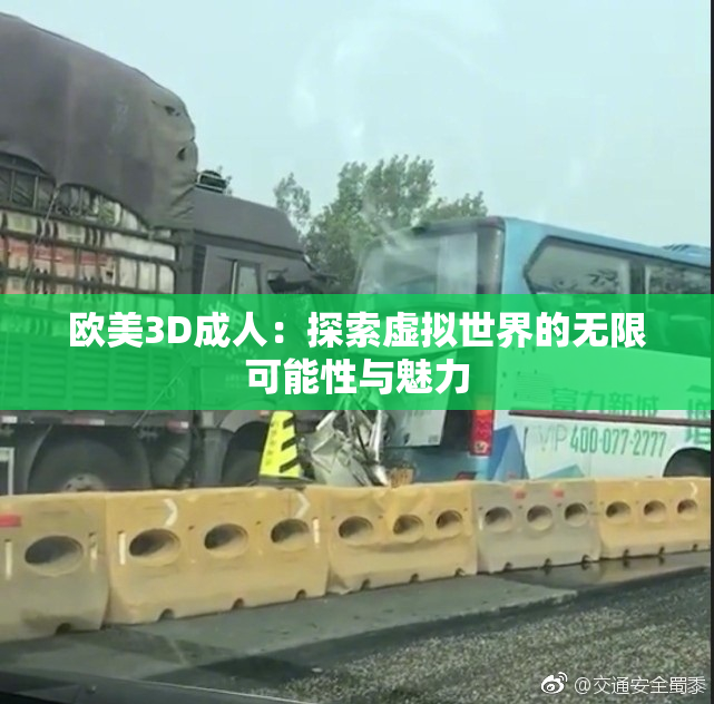 欧美3D成人：探索虚拟世界的无限可能性与魅力