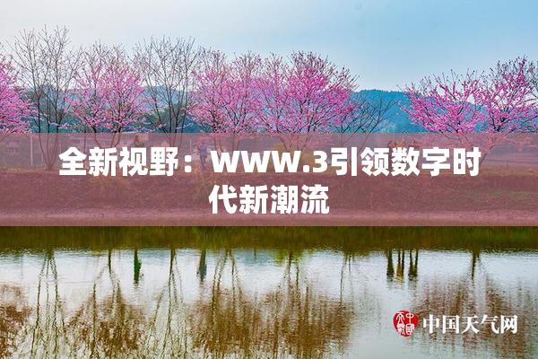 全新视野：WWW.3引领数字时代新潮流