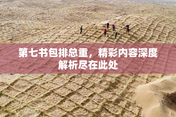 第七书包排总重，精彩内容深度解析尽在此处