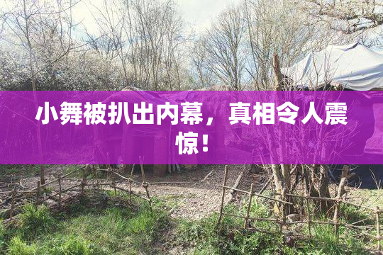 小舞被扒出内幕，真相令人震惊！