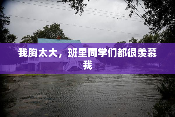 我胸太大，班里同学们都很羡慕我