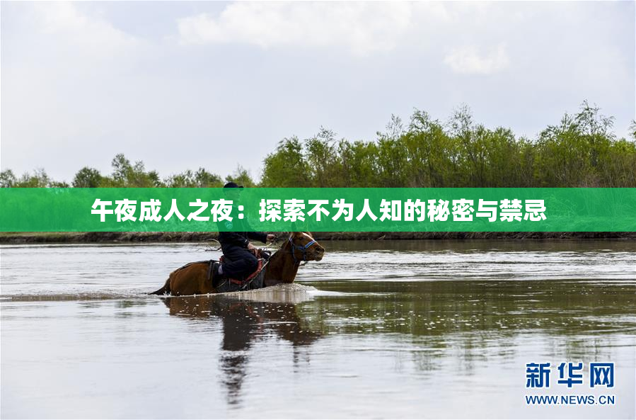午夜成人之夜：探索不为人知的秘密与禁忌