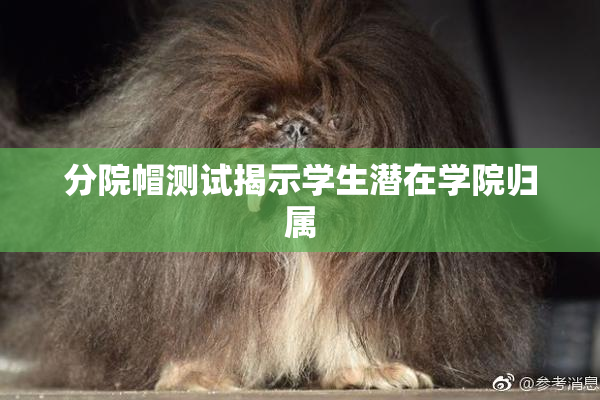 分院帽测试揭示学生潜在学院归属