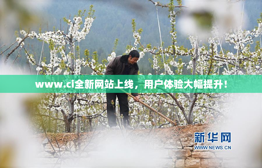 www.ci全新网站上线，用户体验大幅提升！