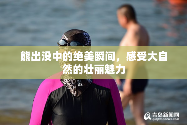 熊出没中的绝美瞬间，感受大自然的壮丽魅力