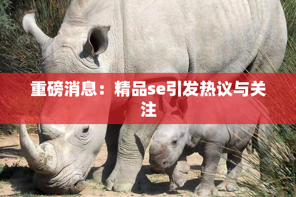 重磅消息：精品se引发热议与关注