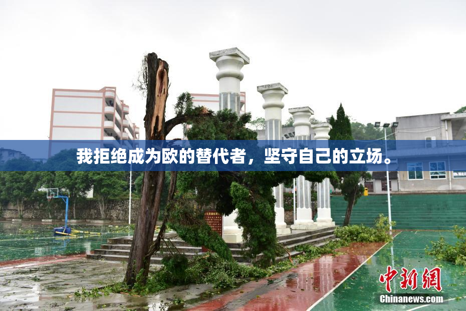 我拒绝成为欧的替代者，坚守自己的立场。