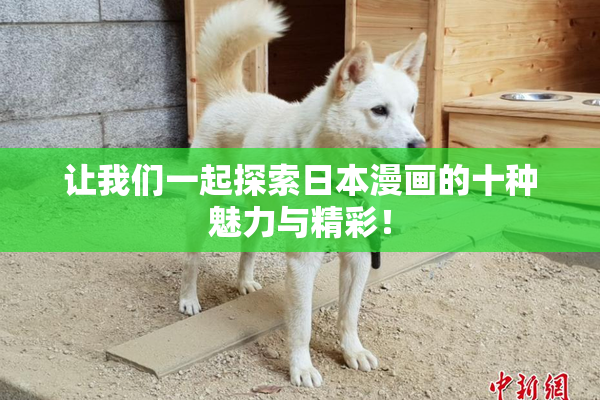 让我们一起探索日本漫画的十种魅力与精彩！