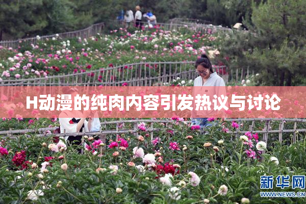 H动漫的纯肉内容引发热议与讨论