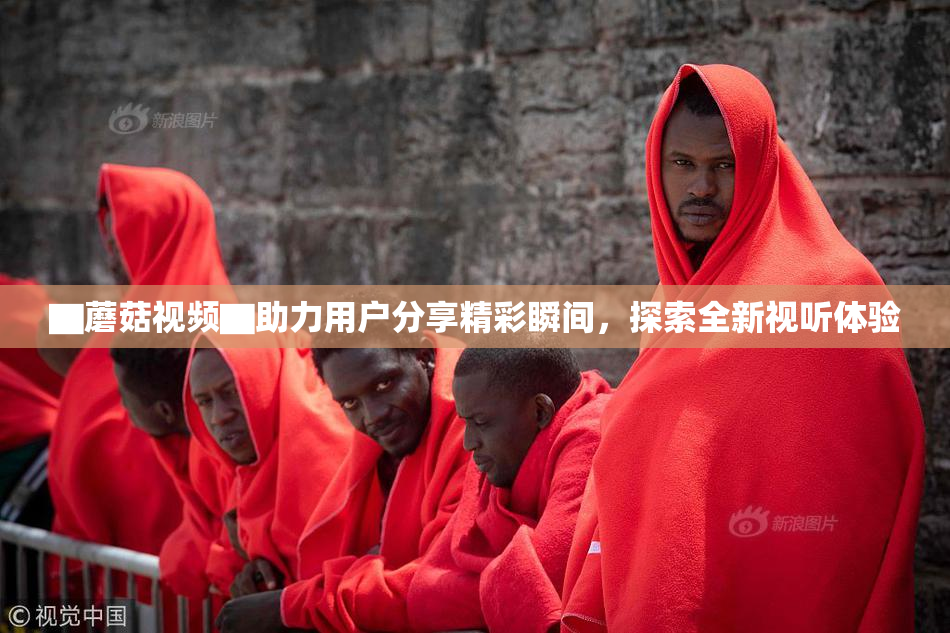 ▇蘑菇视频▇助力用户分享精彩瞬间，探索全新视听体验