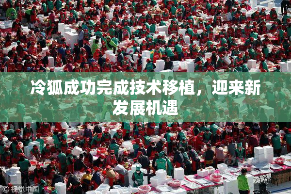 冷狐成功完成技术移植，迎来新发展机遇
