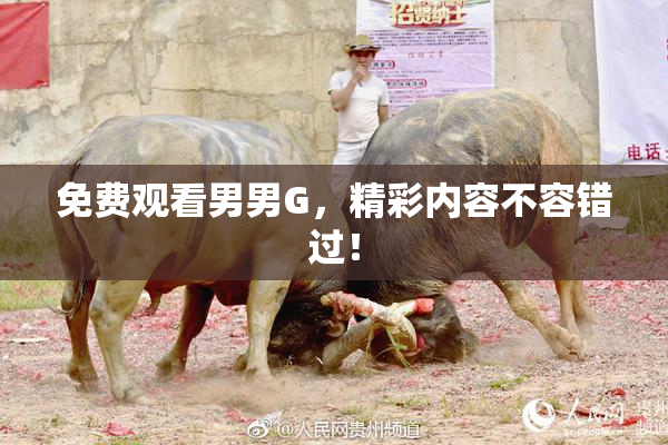 免费观看男男G，精彩内容不容错过！