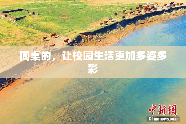 同桌的，让校园生活更加多姿多彩