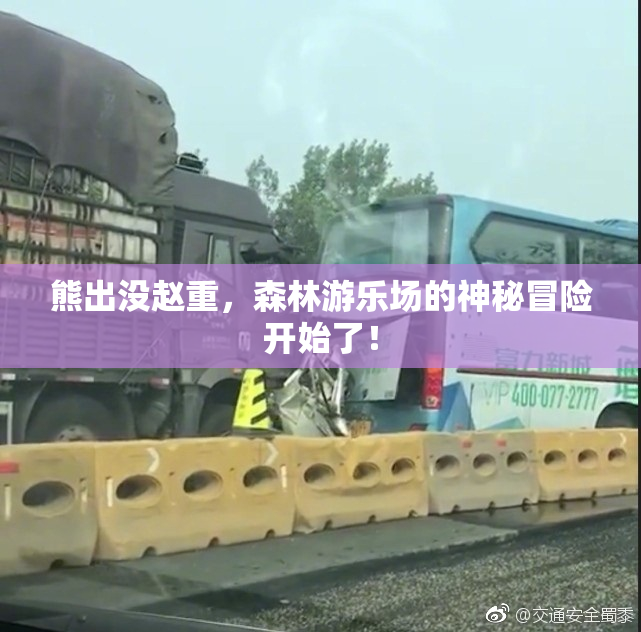 熊出没赵重，森林游乐场的神秘冒险开始了！
