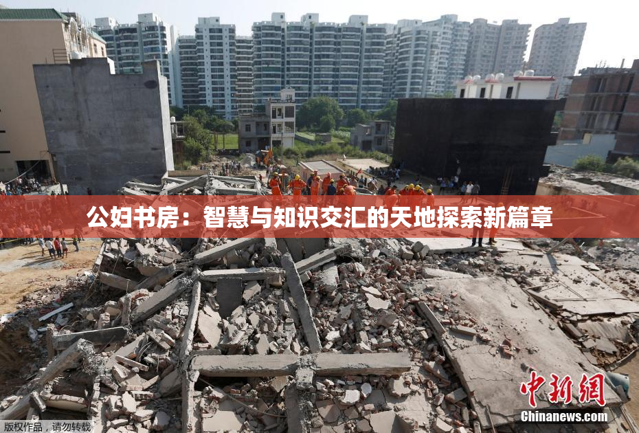 公妇书房：智慧与知识交汇的天地探索新篇章