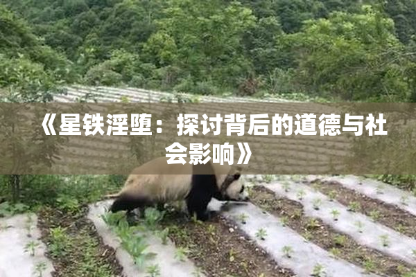 《星铁淫堕：探讨背后的道德与社会影响》