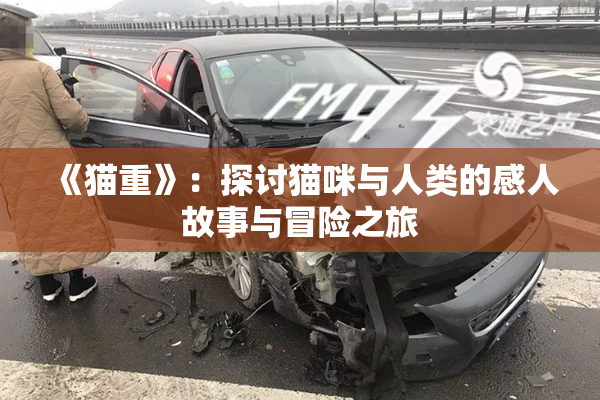 《猫重》：探讨猫咪与人类的感人故事与冒险之旅