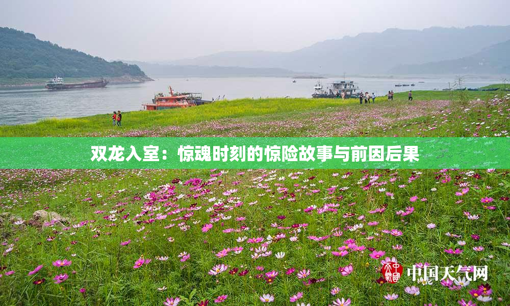 双龙入室：惊魂时刻的惊险故事与前因后果