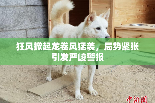 狂风掀起龙卷风猛袭，局势紧张引发严峻警报