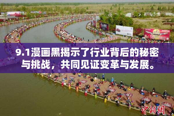 9.1漫画黑揭示了行业背后的秘密与挑战，共同见证变革与发展。