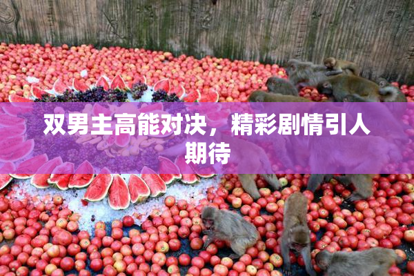 双男主高能对决，精彩剧情引人期待