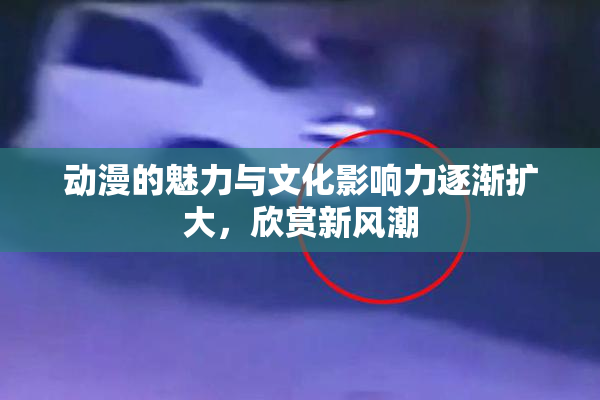动漫的魅力与文化影响力逐渐扩大，欣赏新风潮