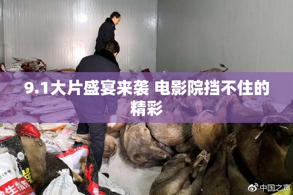 9.1大片盛宴来袭 电影院挡不住的精彩