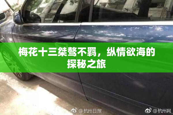 梅花十三桀骜不羁，纵情欲海的探秘之旅
