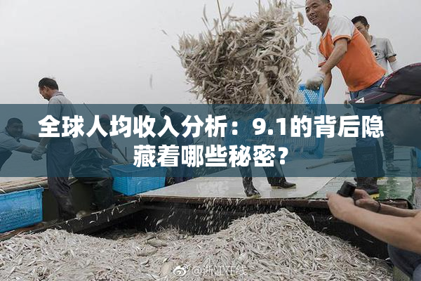 全球人均收入分析：9.1的背后隐藏着哪些秘密？
