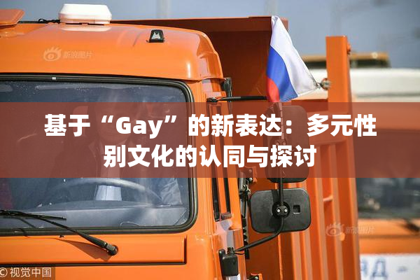 基于“Gay”的新表达：多元性别文化的认同与探讨