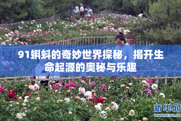 91蝌蚪的奇妙世界探秘，揭开生命起源的奥秘与乐趣