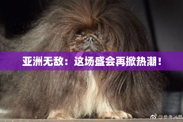 亚洲无敌：这场盛会再掀热潮！