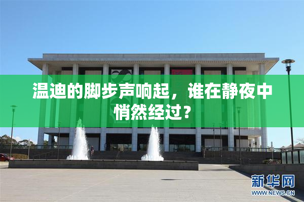 温迪的脚步声响起，谁在静夜中悄然经过？