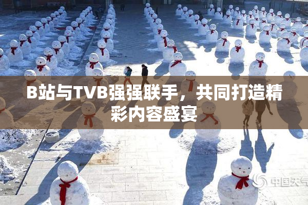 B站与TVB强强联手，共同打造精彩内容盛宴