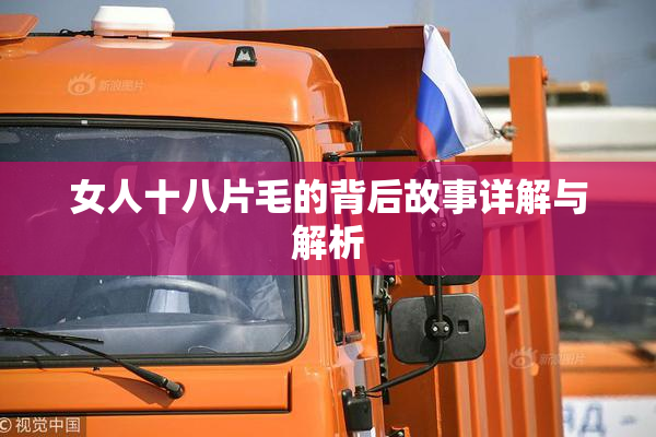 女人十八片毛的背后故事详解与解析