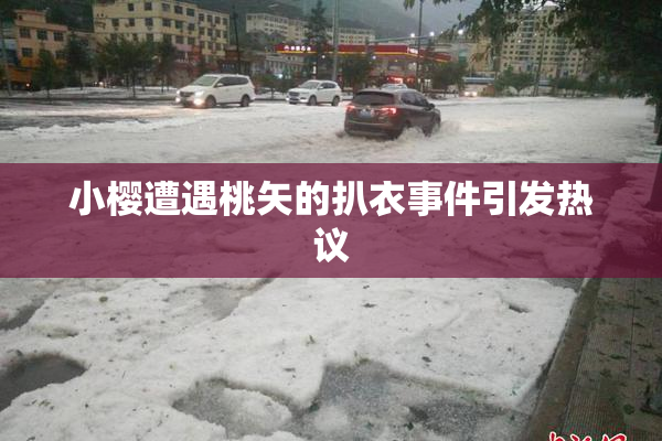 小樱遭遇桃矢的扒衣事件引发热议