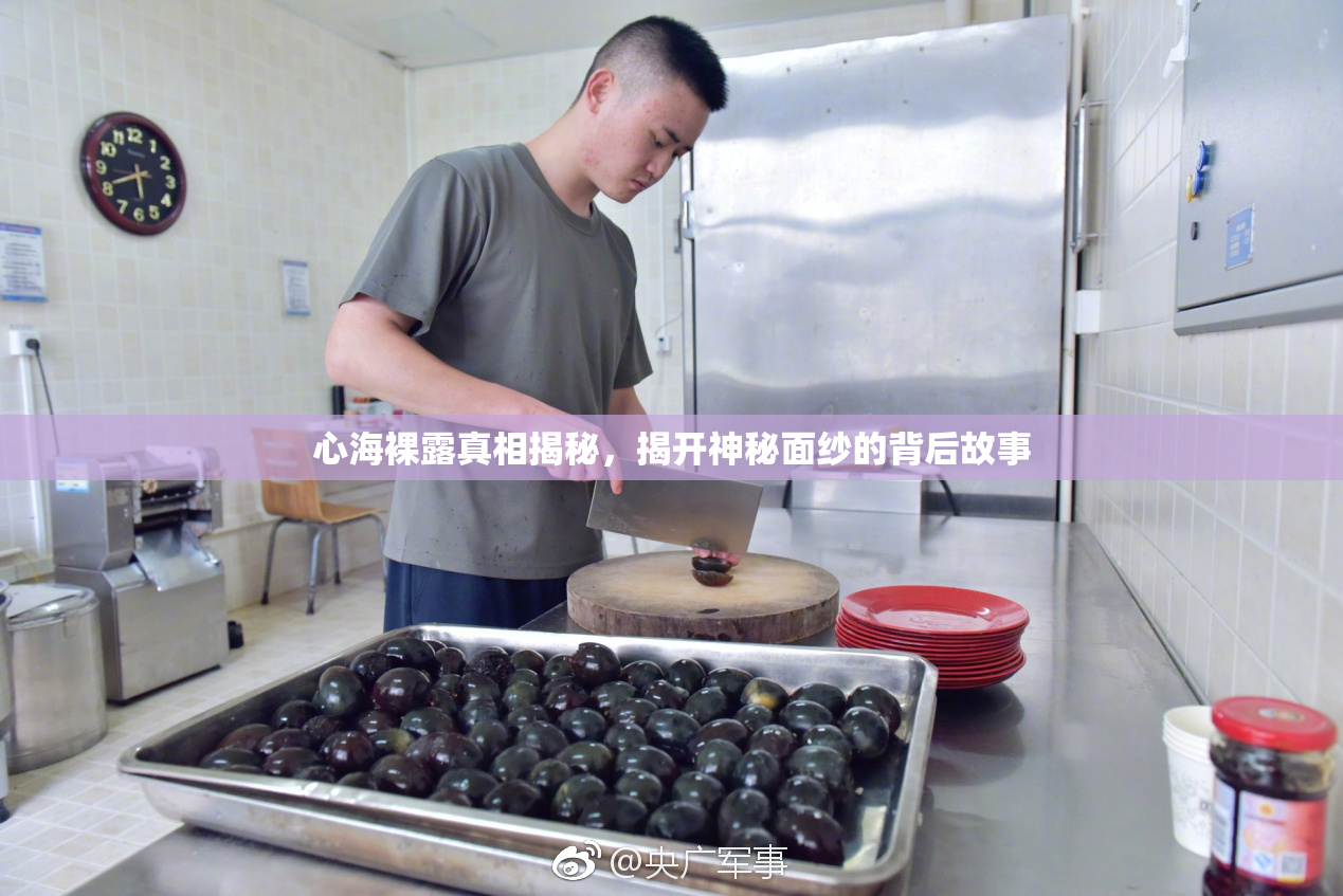 心海裸露真相揭秘，揭开神秘面纱的背后故事