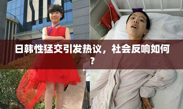 日韩性猛交引发热议，社会反响如何？