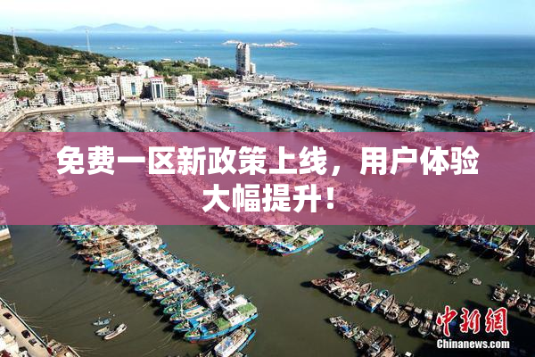免费一区新政策上线，用户体验大幅提升！